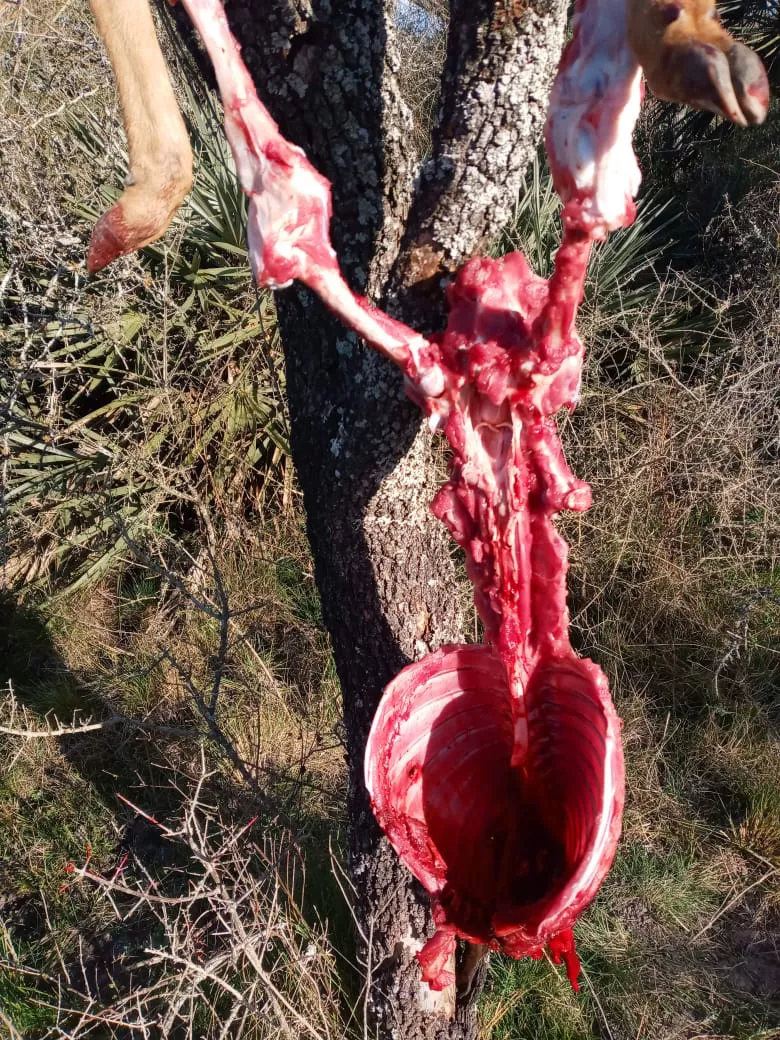 WhatsApp Image 2022-08-06 at 8.50.52 PM