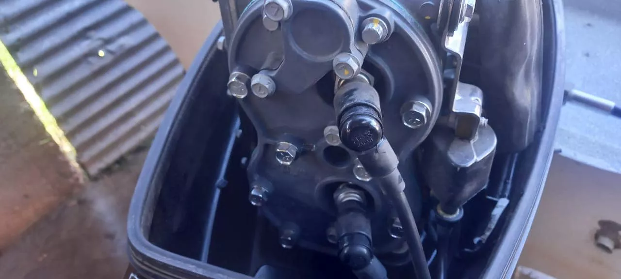 283107405_5153350231421897_5350301767242876812_n