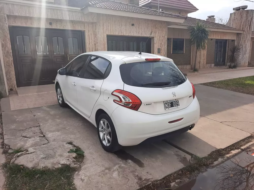 WhatsApp Image 2022-06-11 at 12.02.41 PM (1)