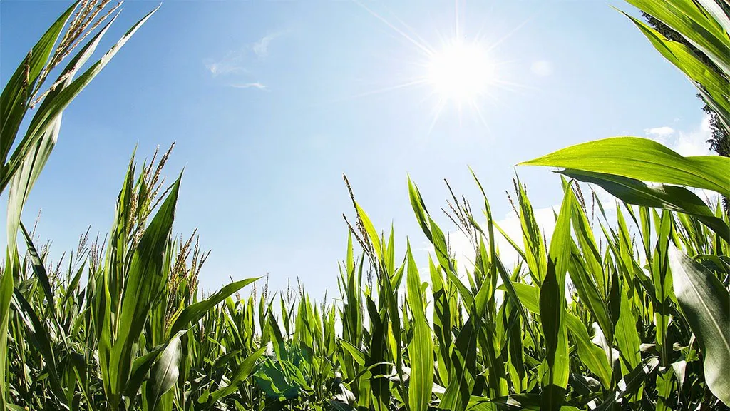 7b4da8b3-d9ff-4e66-b5c4-6166fb5d27a1