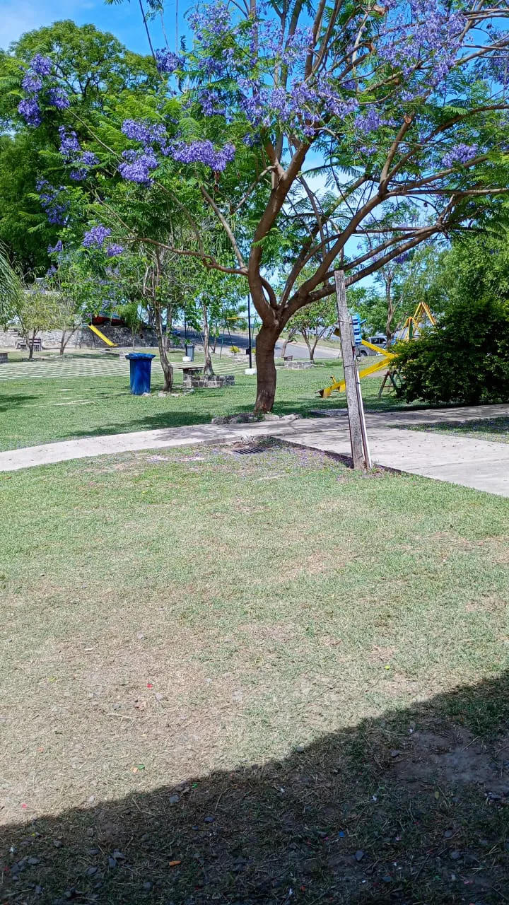 WhatsApp Image 2024-11-10 at 11.05.05