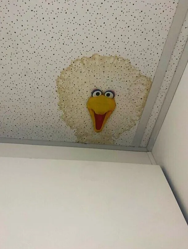 wqerqewreq
