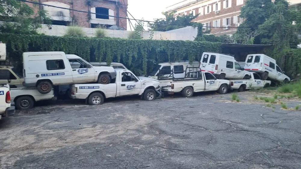 WhatsApp Image 2024-01-27 at 11.31.34