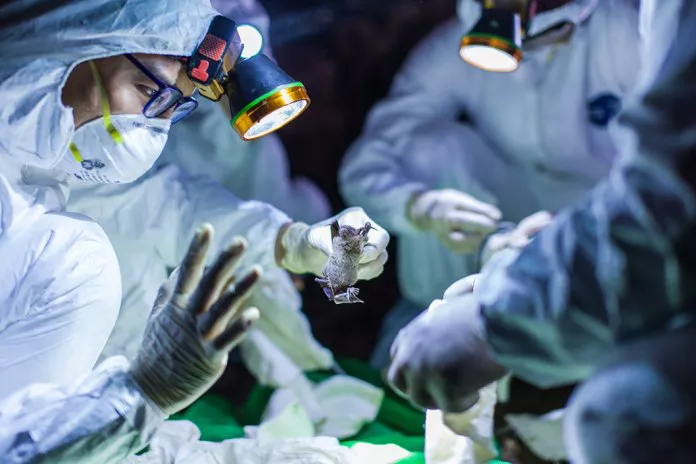 274861426_700287227665493_7758540080032664202_n