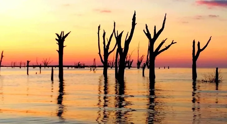 540f3b37-8ec7-4e86-99a3-7f1b393cf3a7