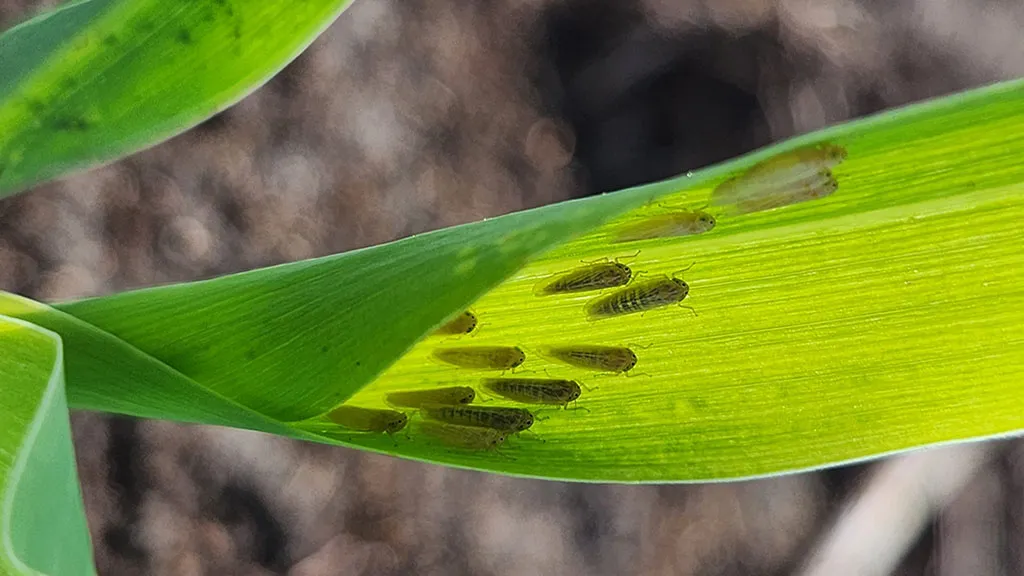 7b4da8b3-d9ff-4e66-b5c4-6166fb5d27a1