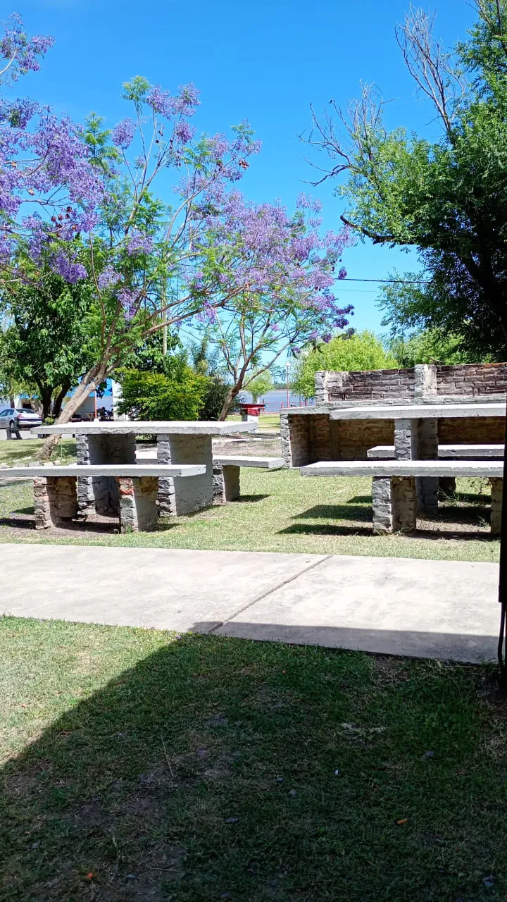 WhatsApp Image 2024-11-10 at 11.05.06