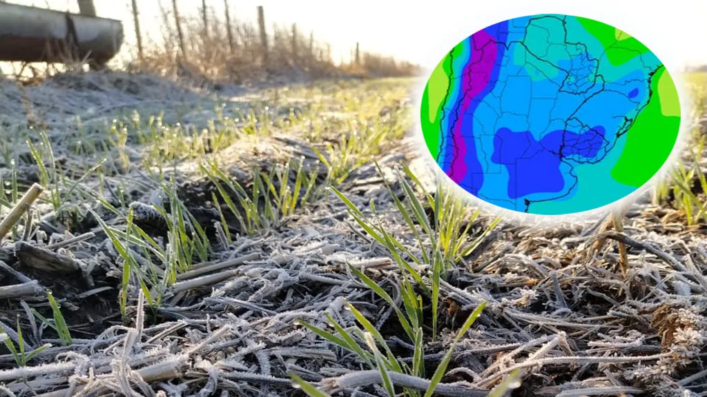 7b4da8b3-d9ff-4e66-b5c4-6166fb5d27a1