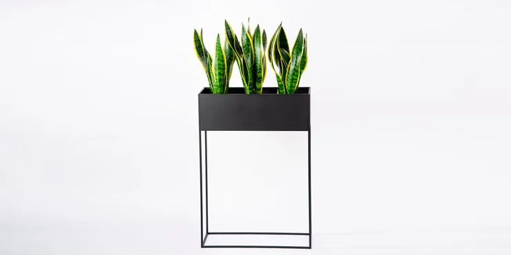 top
