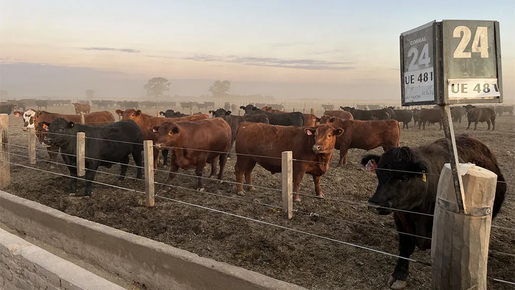 2024-puesta-en-funciones-jefe-vi-ba-01